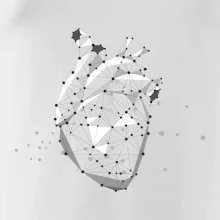 Ľudské srdce Ľudské srdce