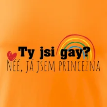 Gay princezna