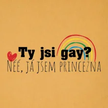 Gay princezna