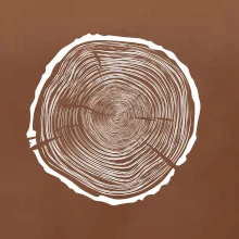 Letokruhy 75 bez veku