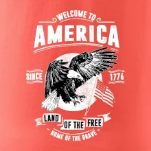 Welcome To America Welcome To America