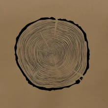 Letokruhy 80 bez veku