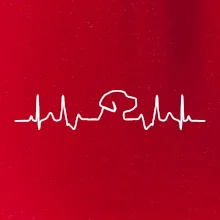 Labradorský retriever‎ EKG