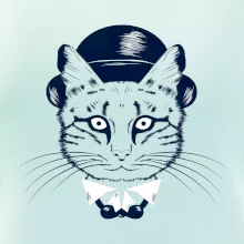 Mačka hipster s klobúkom