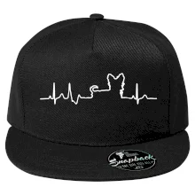 Yorkshirský teriér EKG Yorkshirský teriér EKG
