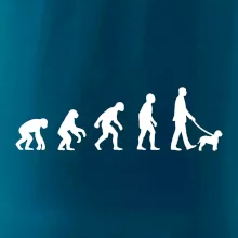 Lagotto romagnolo Evolúcia