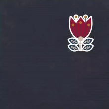 Folklór na prsníku kvetina štvorlistá