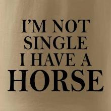 I have a horse