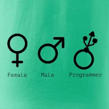 Female male programmer