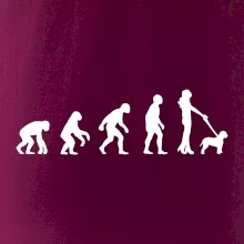 Lagotto romagnolo Evolúcia