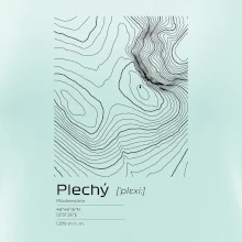 Plechý - vrstevnice v obdĺžniku