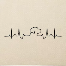 Labradorský retriever EKG Labradorský retriever EKG