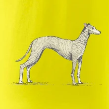Vintage Whippet