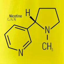 Molekulárna štruktúra Nikotín
