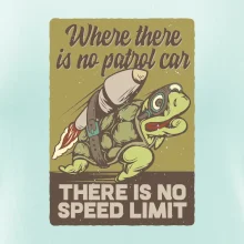 Korytnačka na cestách