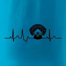 Lagotto romagnolo hlava EKG