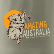 Amazing Australia koala
