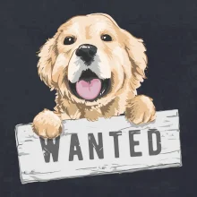 Zlatý retriever - šteniatko wanted