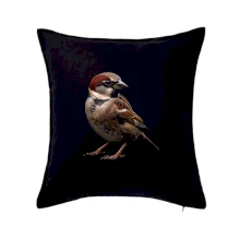 Vrabec poľná čierna fotka