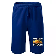 3D nápis Keep Calm and HODL Bitcoin 3D nápis Keep Calm and HODL Bitcoin