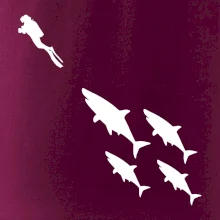 Potápač žraloky Potápač žraloky