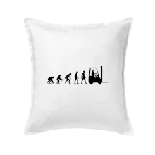 Evolúcia jašterica