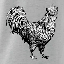 Kohút kreslený čiernobiely