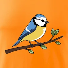 Sýkorka modrinka na vetve