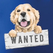 Zlatý retriever - šteniatko wanted