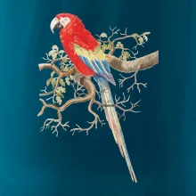 Papagáj  na listnatom strome