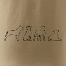 Americký stafordšírsky teriér v rôznych pozíciách