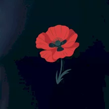 Vlčí mak kreslený veľký