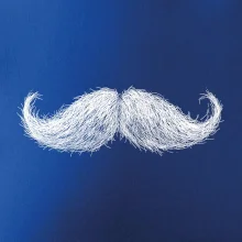 Mustache fúzy kreslené Mustache fúzy kreslené