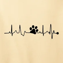 Ekg psia labka Ekg psia labka