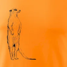 Surikata čierna kresba