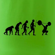 Evolution fitness