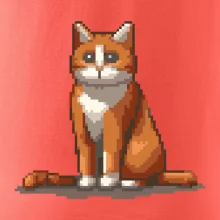 Mačka hrdzavá Mačka hrdzavá