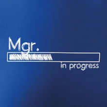 In progress titul Mgr. magister / magistra