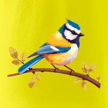 Sýkorka modrinka kreslená