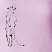 Surikata čierna kresba