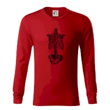 Kostra tela Kostra tela