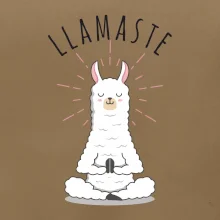 Yoga Llamaste Yoga Llamaste
