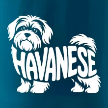 Havanese nápis v tele
