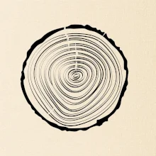 Letokruhy 20 bez veku