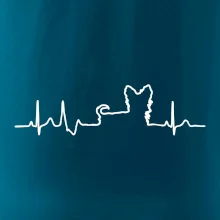 Yorkshirský teriér EKG