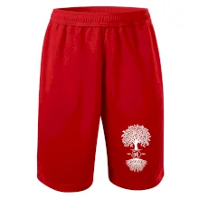 Narodeninový strom 50 Narodeninový strom 50