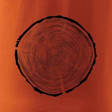 Letokruhy 95 bez veku