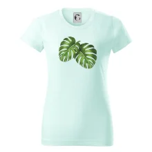 Monstera - dva listy