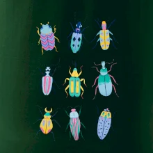 Farebné chrobáky (studio-arte.cz)