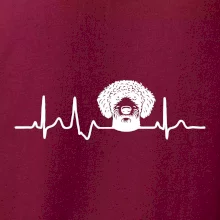 Lagotto romagnolo hlava EKG